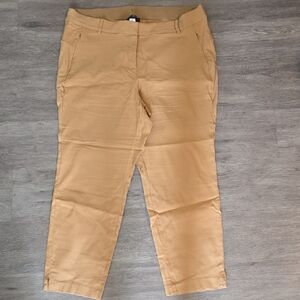 Lane Bryant Beige Pants